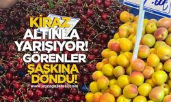 Zonguldak’ta Kiraz Altınla Yarışıyor! Vatandaş "Yok artık" dedi!