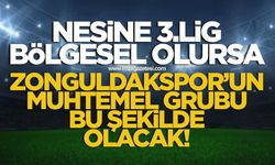 Kdz.Ereğli Belediyespor ve Zonguldakspor hangi bölge grubunda mücadele edecek?