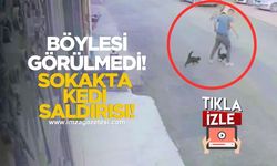 Köpek Gezdirirken “Kedi Baskınına” Uğradı! Saldırı Kamerada!