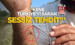 Türkiye’yi Saran Sessiz Tehdit...Kene Isırığıyla Gelen Ölümcül Hastalık!
