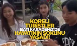 Koreli turistler Batı Karadeniz'de hayatlarının şokunu yaşadılar
