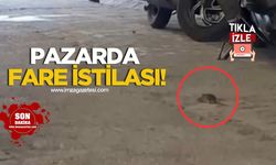 Köylü pazarında fare istilası!