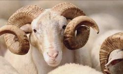 9 Günlük Bayram Tatili Ne Zaman Başlıyor, Kimleri Kapsıyor