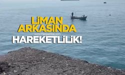 Liman arkasında hareketlilik!