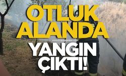 Otluk alanda örtü yangını çıktı