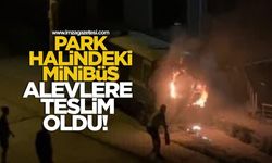 Park halindeki minibüs alevlere teslim oldu