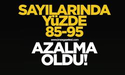 Sayılarında yüzde 85-95 azalma oldu!