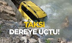 Ticari taksi dereye uçtu