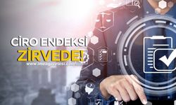 Hizmet Sektörü Uçtu, Sanayi Geriledi! Ciro Endeksi Zirvede...