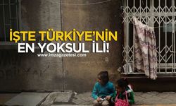 TÜİK Verileri Yoksulluğun Haritasını Çıkardı! Hangi il zirvede?