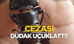 Cezası dudak uçuklattı