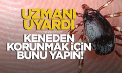 Uzmanı uyardı! Keneden korunmak için bunu yapın