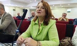 Su savaşları kapıda, termikler yanıyor, altın madenleri kazıyor!