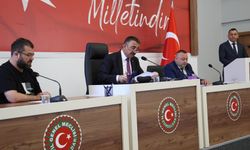 Zonguldak Sahipsiz Hayvanlar İçin Kenetlendi... İlk Meclis Toplantısı Yapıldı!