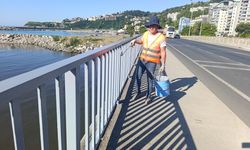Karayolları Ekiplerinden Kozlu'da Köprü Üzerinde Estetik Dokunuş...