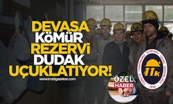 Baş döndüren devasa kömür rezervi dudak uçuklatıyor!