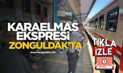 Zonguldak'ta görülen yılanlar tehlikeli mi? Uzmanı açıkladı!
