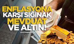 Enflasyona karşı sığınak mevduat ve altın!