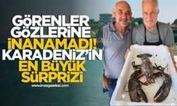 Görenler Gözlerine İnanamadı! Karadeniz'in En Büyük Sürprizi...