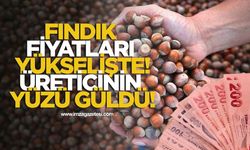 Fındık Fiyatları Yükselişte! Üreticinin Yüzü Güldü!