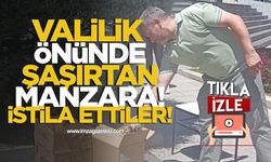 Valilik Önünde Şaşırtan Manzara! Zonguldak'ı Arılar İstila Etti!