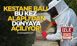 Kestane Balı Bu Kez Alaplı'dan Dünyaya Açılıyor!
