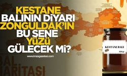 Kestane Balı Diyarı Zonguldak'ın Bu Sene Yüzü Gülecek Mi?