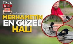 Merhametin en güzel hali... Yürek ısıtan görüntüler...