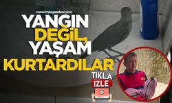 Yangın Değil, Yaşam Kurtardılar... Alaplı’da Yavru Kargaya Nefes...