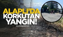 Alaplı'da Korkutan Yangın! Elektrik Direğinden Düştü!