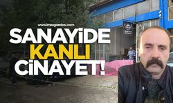 Sanayide kanlı cinayet! Davada şok savunma!