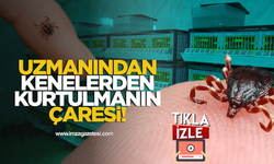 Uzmanından Kenelerden Kurtulmanın Çaresi!