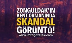 Zonguldak Kent Ormanında Skandal Görüntü | Zonguldak haber