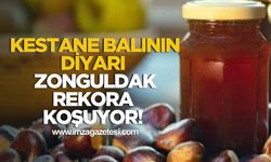 Zonguldak'ta kestane balı rekoru geliyor!
