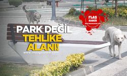 Kilimli'de Meydan Park Korku Parkına Döndü!