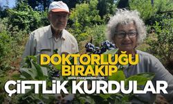 Zonguldaklı doktor çift 35 yıllık mesleklerini bırakıp çiftlik kurdular