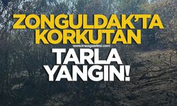 Zonguldak'ta korkutan tarla yangını