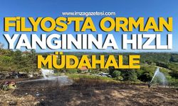 Filyos’ta Orman Yangınına Hızlı Müdahale