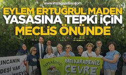 Eylem Ertuğrul, Maden Yasası’na Tepki İçin Meclis Önünde