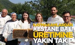 Kilimli ve Gökçebey Kaymakamlarından Kestane Balı Üretimine Yakın Takip