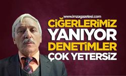 Ciğerlerimiz Yanıyor, Denetimler Çok Yetersiz