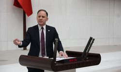 Deniz Yavuzyılmaz'dan Yargıtay kararına tepki!