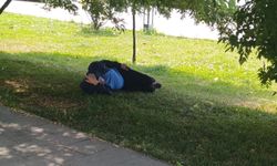 Vatandaşlar serinliği ağaç gölgesinde aradı…