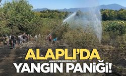 Alaplı Belen Köyü'nde Fındık Temizleme Esnasında Yangın Paniği