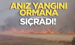 Anız yangını büyüyerek ormana sıçradı!