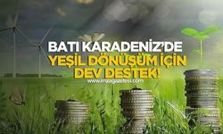 Batı Karadeniz’de Yeşil Dönüşüm İçin Dev Destek! SoGreen Hibe Programı Başvuruları Başladı...