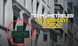 Termometreler 42 dereceyi gördü! Turuncu alarm verildi!