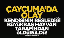 Çaycuma'da olay! Kendi hayvanı tarafından öldürüldü