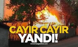 Cayır cayır yandı