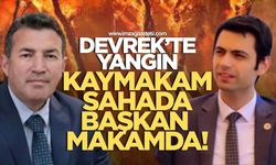 Devrek’te Yangın Paniği! Kaymakam Sahada, Başkan Makamda